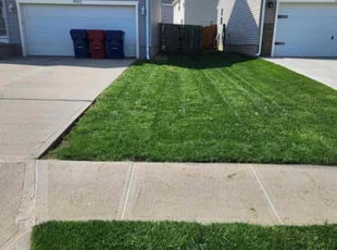 Mike F.'s Lawn Service service result