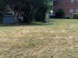 Bush Trimming by Dimas Lopez for Marjorie P. in Baltimore, MD