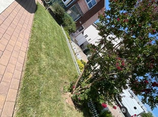 Marie K.'s Lawn Mowing service result