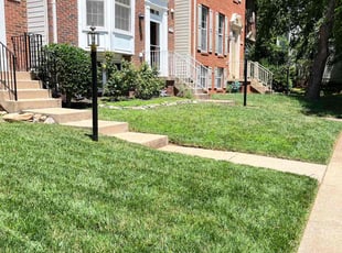 Weeding by Alesandre Duarte for Emmett W. in Sterling, VA