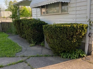 Bush Trimming by Demetrius Bennett Jr for Bruce S. in Cleveland, OH
