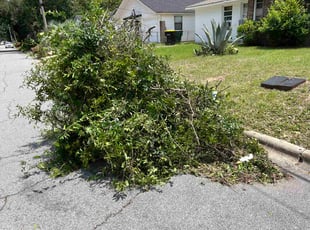 Bush Trimming by Jason Hughes for Natalie C. in Savannah, GA