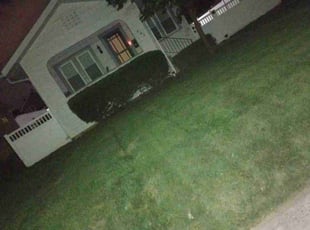 Cleanups by Michael Martin for Melissa R. in Columbus, OH