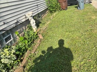 Weeding by Adrian Mendoza for Anthony N. in Woodstock, IL