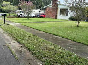 James S.'s Lawn Mowing Service service result