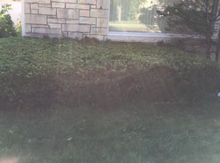 Landscaping by Nathaniel Dukes for Gloria W. in Milwaukee, WI