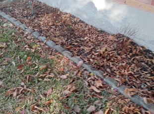 Weeding by Shawn Burt for Stephanie B. in Mesquite, TX