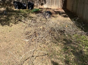 Leaf Removal by Martie Henderson for Clemeshia C. in San Antonio, TX