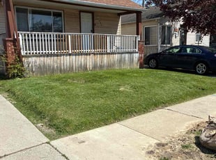 Susan S.'s Lawn Care service result