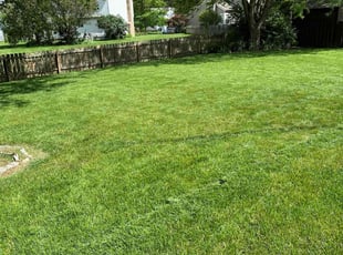Kenneth F.'s Lawn Service service result