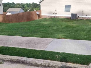 Vena T.'s Lawn Maintenance service result