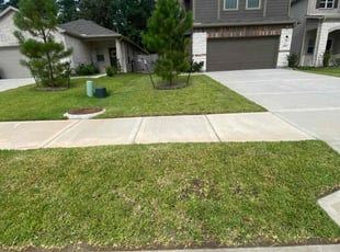 Alyvia R.'s Lawn Mowing service result