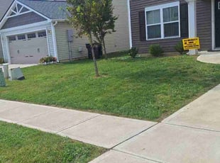 Deborah S.'s Lawn Service service result