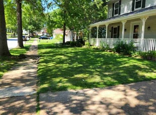 Paul L.'s Lawn Maintenance service result