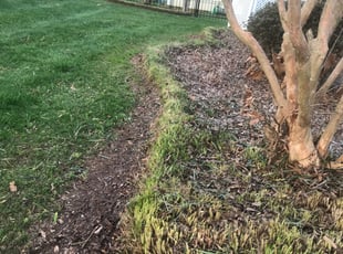 Landscaping by Michael Gregory for Dottie S. in Belmont, NC