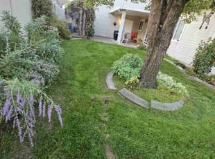 Russell P.'s Lawn Mowing Service service result