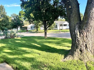 Robert M.'s Lawn Care service result