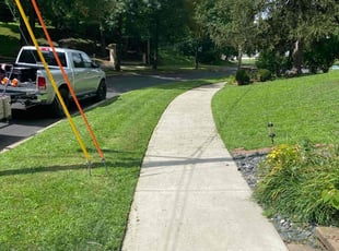 Nikole P.'s Lawn Care service result