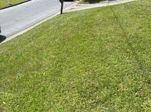 Delores L.'s Lawn Mowing Service service result