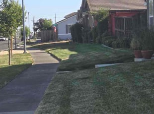 Gerard A.'s Lawn Care service result