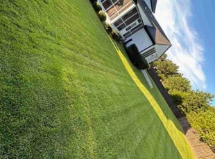 Bush Trimming by T Oxendine for Jun Z. in Evans, GA
