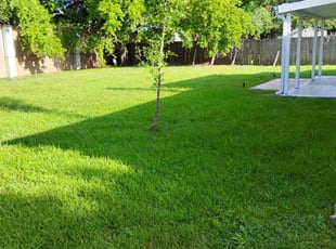 Sumerlin L.'s Grass Cutting service result