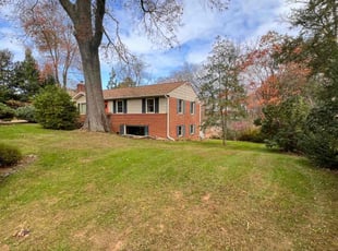 Leaf Removal by Jose M Rodriguez for Meredith K. in Falls Church, VA