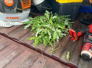 Weeding by Darren Mudget for Brian B. in Grand Ledge, MI