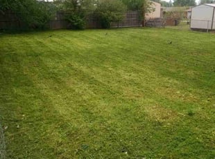 Cleanups by Tony Rodriguez for Jaiden S. in Oklahoma City, OK