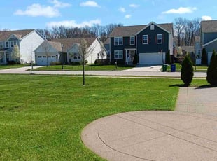 Ramesh G.'s Lawn Mowing Service service result