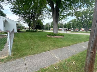 WILLIAM G.'s Lawn Mowing service result