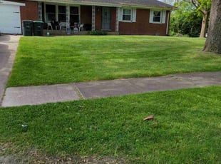 ROBERT E.'s Yard Cutting service result