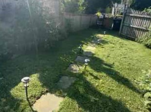 Bush Trimming by Darryl Blanchard for Owen M. in Washington, DC