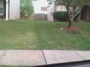 Bush Trimming by Bryan Carlton for Katina E. in Indianapolis, IN