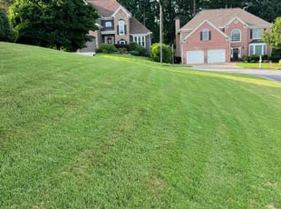 Evelyn C.'s Grass Cutting service result
