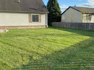 Teresa L.'s Lawn Mowing service result