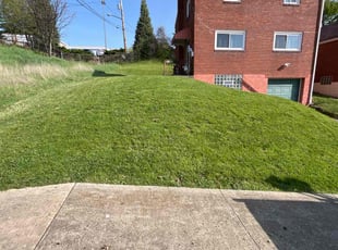 Susan B.'s Lawn Service service result