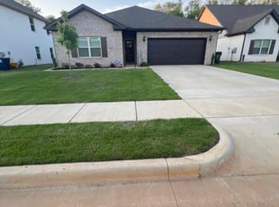 Andres V.'s Lawn Service service result