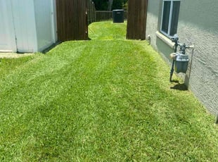 Rich H.'s Lawn Mowing service result