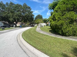 Emily D.'s Lawn Mowing service result