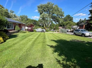 JODIE M.'s Lawn Mowing service result