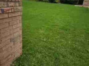 Matthew P.'s Lawn Mowing Service service result