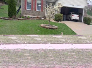 Tiffany H.'s Lawn Maintenance service result