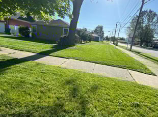 Shante R.'s Lawn Service service result