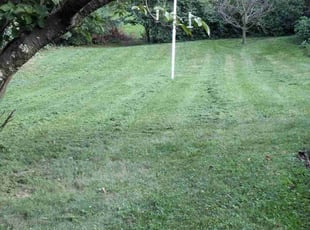 RONALD J.'s Yard Cutting service result