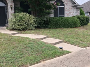 Bush Trimming by Jose Rodriguez for Jay S. in McKinney, TX