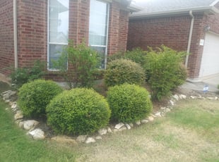 Weeding by Edward Rodriguez for Brittany C. in Fort Worth, TX