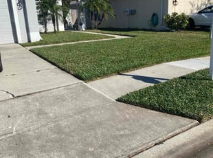 Joshua C.'s Lawn Care service result