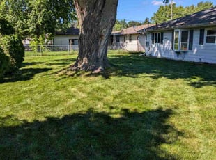 Jennifer N.'s Lawn Mowing service result