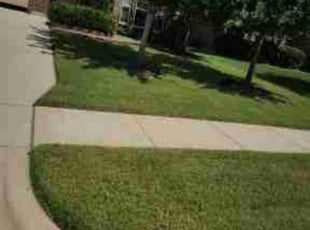 Debbie A.'s Lawn Care service result